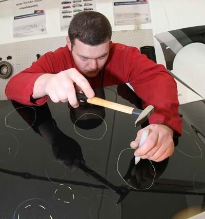 reisner_gardenlife_reutlingen_2007_8 (jpg)