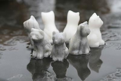 reisner_gardenlife_reutlingen_2007_17 (jpg)