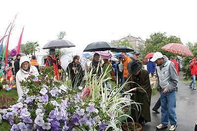 reisner_gardenlife_reutlingen_2007_31 (jpg)