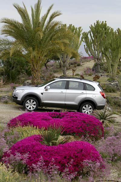 chevrolet_captiva_2007_5 (jpg)