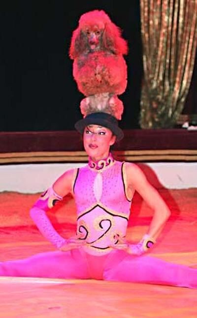 trinkhaus_zirkus_busch_roland_4 (jpg)