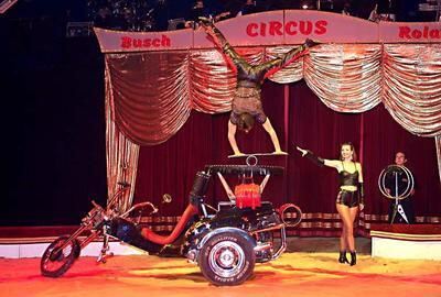 trinkhaus_zirkus_busch_roland_5 (jpg)