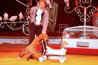 trinkhaus_zirkus_busch_roland_10 (jpg)