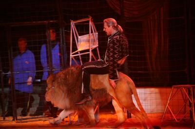 zirkus_busch_roland_pressebilder_2 (jpg)