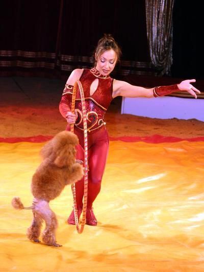 zirkus_busch_roland_pressebilder_8 (jpg)