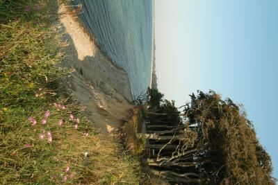 ostsee_ferienpark_weissenhaeuser_strand_4 (jpg)