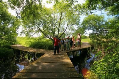 ostsee_ferienpark_weissenhaeuser_strand_13 (jpg)