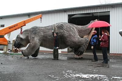 erben_der_dinos_transport_5 (jpg)