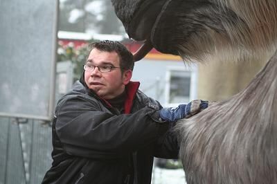 erben_der_dinos_transport_8 (jpg)