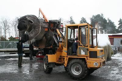 erben_der_dinos_transport_11 (jpg)