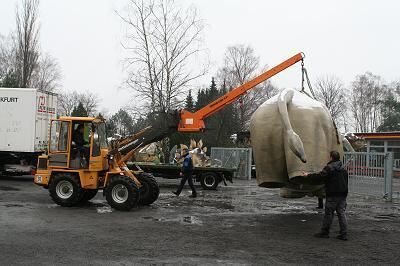 erben_der_dinos_transport_33 (jpg)