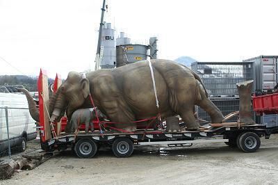 erben_der_dinos_transport_38 (jpg)