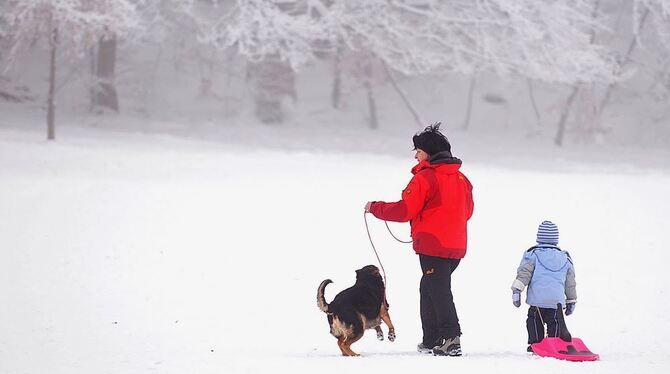 Spaß am Schnee haben derzeit nicht nur große und kleine Menschen. Jetzt fehlt nur noch die Sonne. FOTO: TRINKHAUS