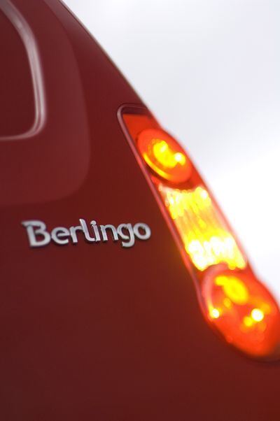 citroen_berlingo_2008_10 (jpg)