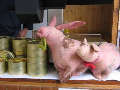 biosphaerenmarkt_muensingen_2008_21 (jpg)