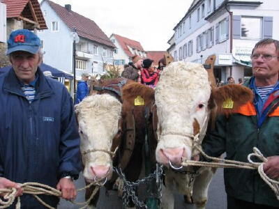 biosphaerenmarkt_muensingen_2008_27 (jpg)