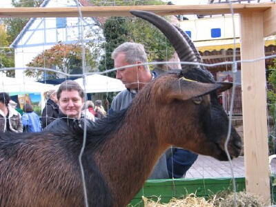 biosphaerenmarkt_muensingen_2008_29 (jpg)
