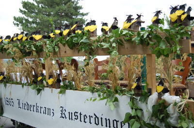 900_jahre_kusterdingen_festumzug_stoehr_7 (jpg)