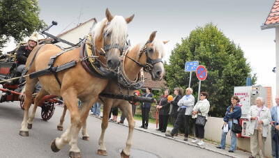 900_jahre_kusterdungen_2008_umzug_13 (jpg)