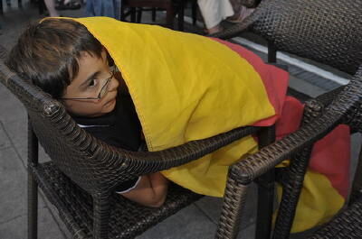 em2008_deutschland_spanien_niethammer_10 (jpg)