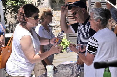stadtfest_reutlingen_21_juni_2008_8 (jpg)