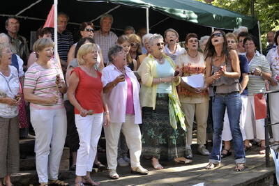 stadtfest_reutlingen_21_juni_2008_20 (jpg)