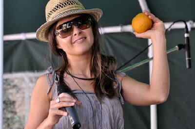 stadtfest_reutlingen21_juni_2008 (jpg)