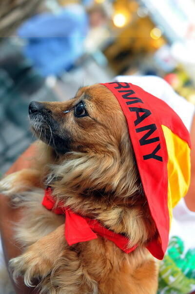 em_07062008_pacher_2 (jpg)