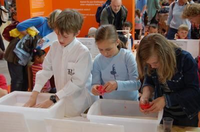 ideenpark_zwischenbilanz_shows_besucher_co_21 (jpg)