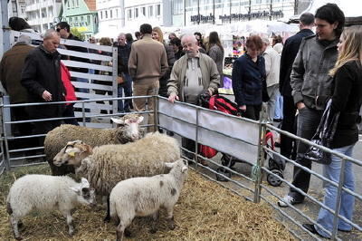 verkaufssonntag_reutlingen_april_2008_2 (jpg)