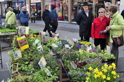 verkaufssonntag_reutlingen_april_2008 (jpg)