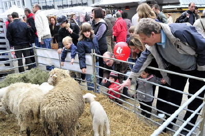 verkaufssonntag_reutlingen_april_2008_24 (jpg)