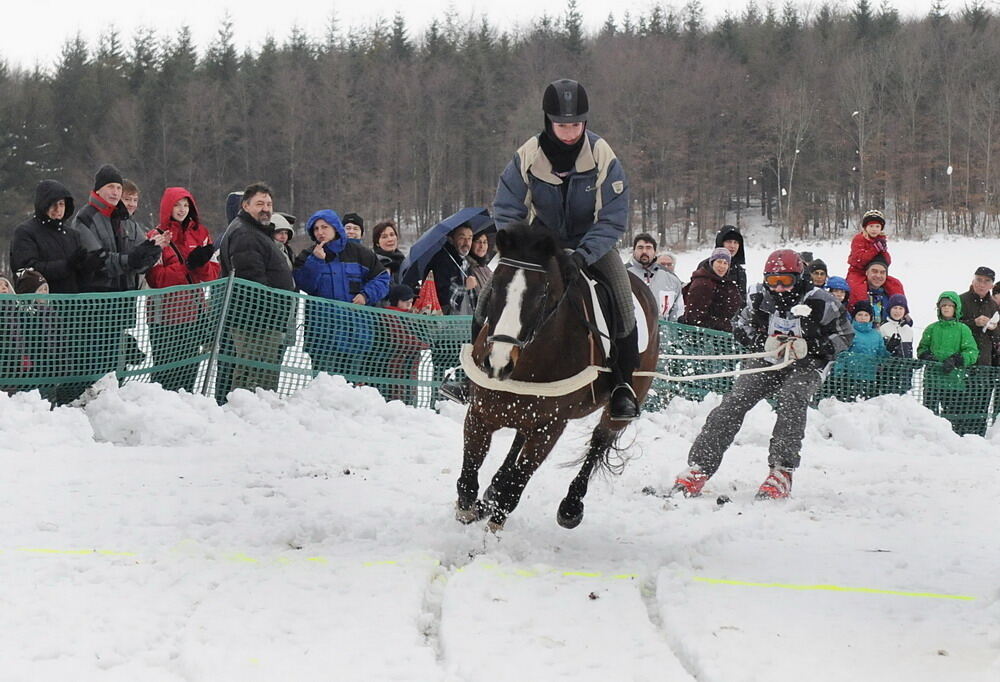 Skijöring und Schlittenrennen Holzelfingen