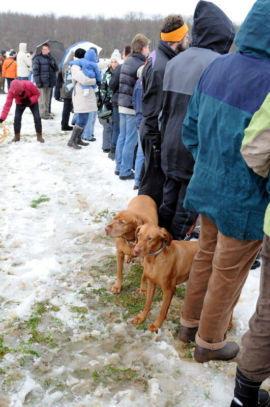 Skijöring und Schlittenrennen Holzelfingen