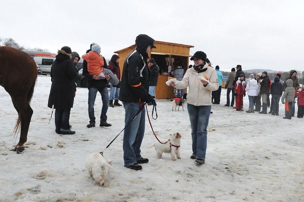 Skijöring und Schlittenrennen Holzelfingen