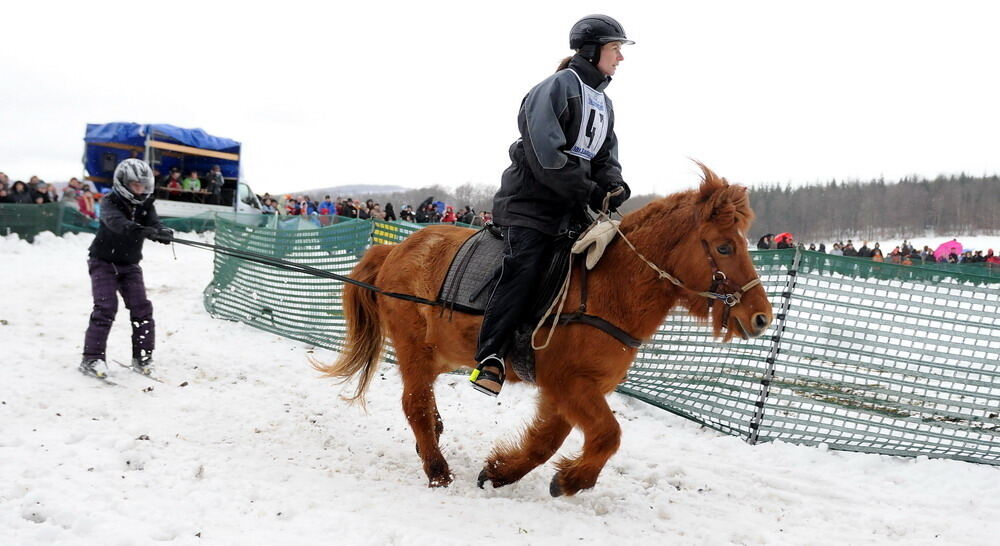 Skijöring und Schlittenrennen Holzelfingen