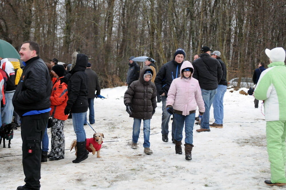 Skijöring und Schlittenrennen Holzelfingen