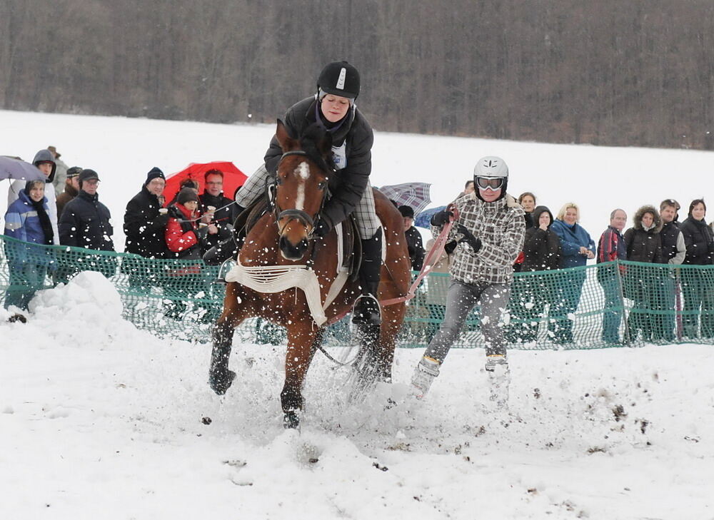 Skijöring und Schlittenrennen Holzelfingen
