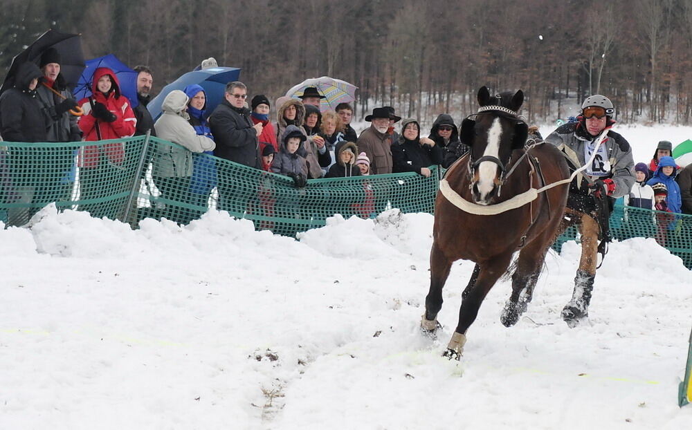 Skijöring und Schlittenrennen Holzelfingen