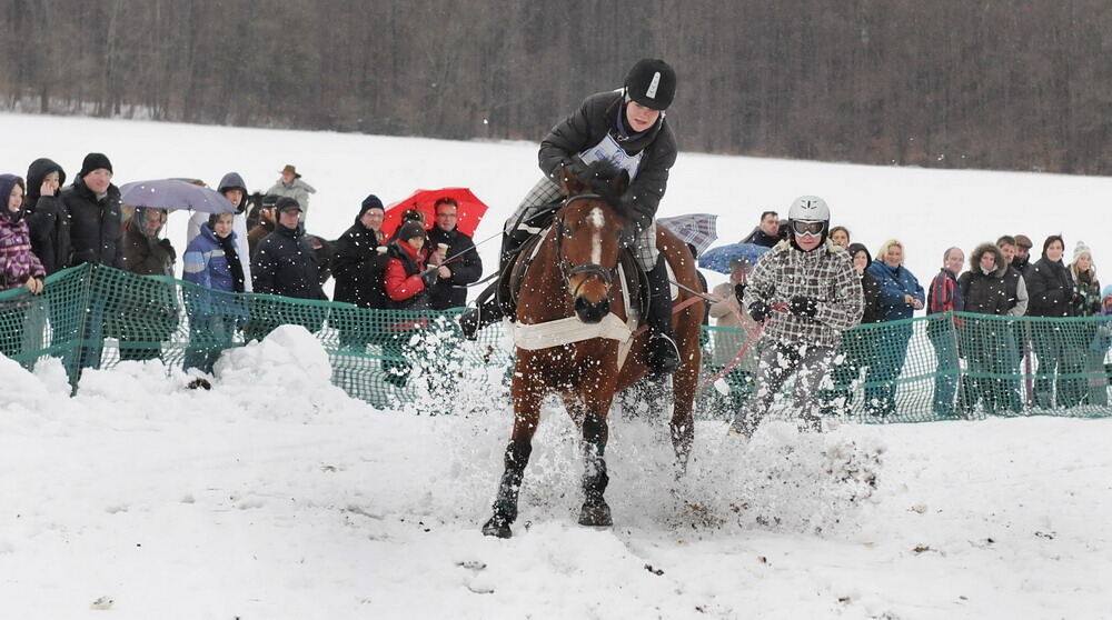 Skijöring und Schlittenrennen Holzelfingen