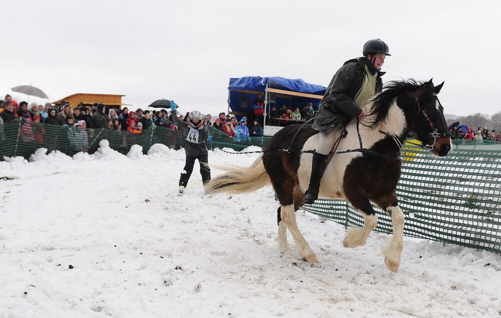 Skijöring und Schlittenrennen Holzelfingen