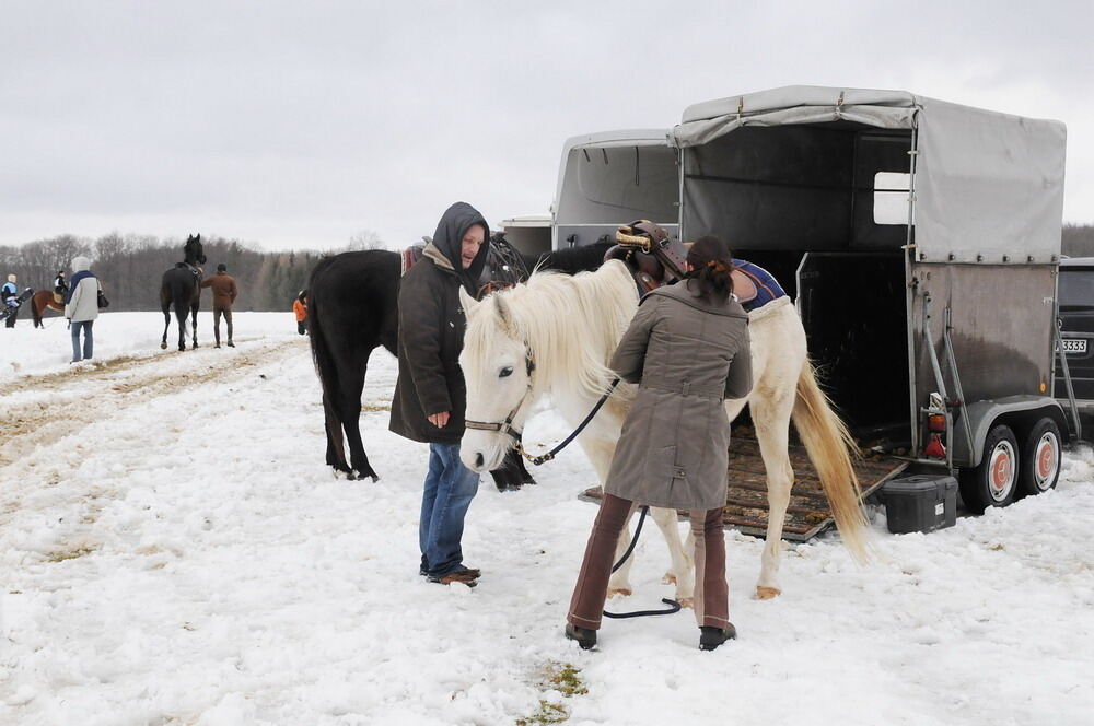 Skijöring und Schlittenrennen Holzelfingen