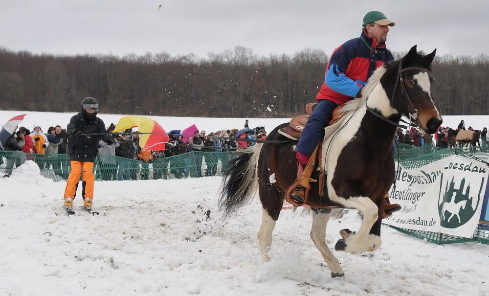 Skijöring und Schlittenrennen Holzelfingen