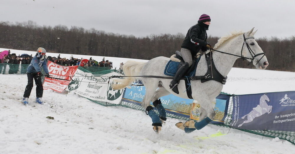 Skijöring und Schlittenrennen Holzelfingen