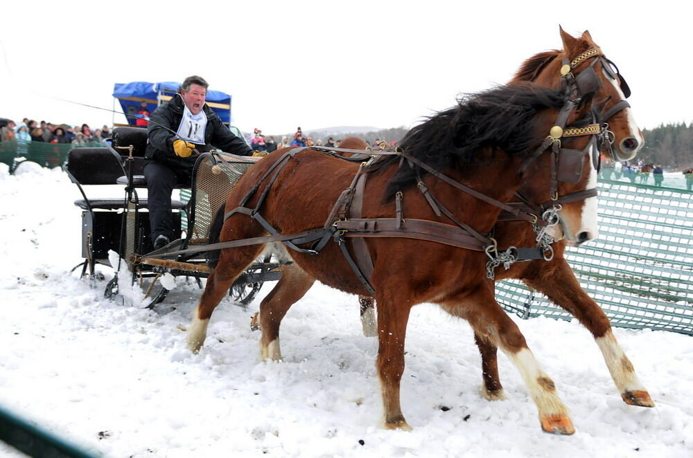 Skijöring und Schlittenrennen Holzelfingen