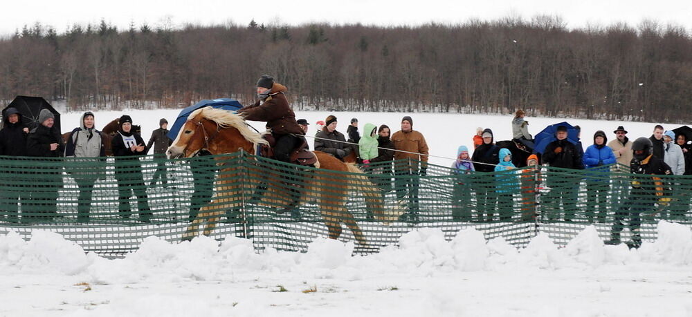 Skijöring und Schlittenrennen Holzelfingen