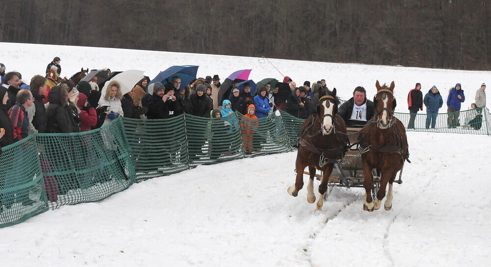 Skijöring und Schlittenrennen Holzelfingen