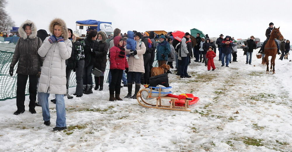 Skijöring und Schlittenrennen Holzelfingen