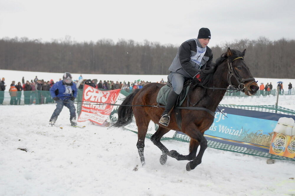 Skijöring und Schlittenrennen Holzelfingen