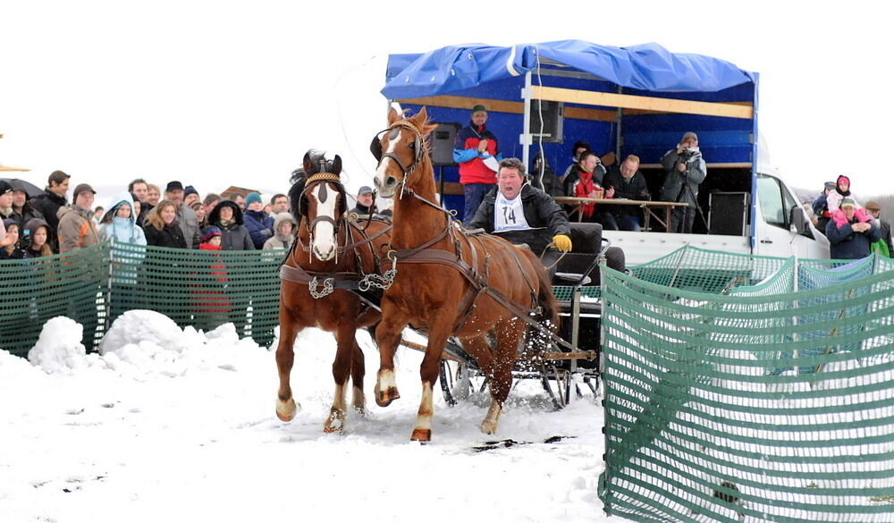 Skijöring und Schlittenrennen Holzelfingen
